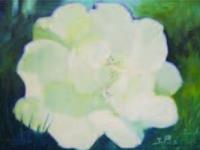 Jozo Pušelja - Cvijet