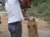 Izrada skulpture od drveta