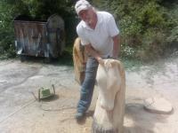 Izrada skulpture od drveta