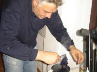 Tehnika grebanja, šaranja voskom i preslikavanje listova biljaka