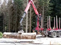 Kiparska kolonija na Kuku