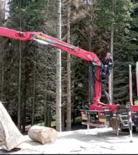 Kiparska kolonija na Kuku