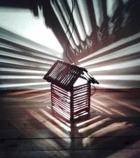 Toni Zlojo - Igra svjetlosti i sjene